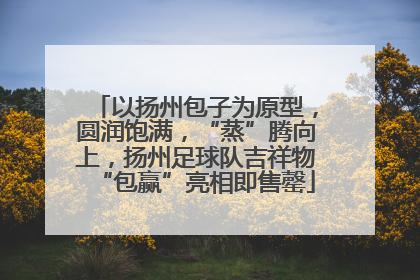 以扬州包子为原型，圆润饱满，“蒸”腾向上，扬州足球队吉祥物“包赢”亮相即售罄