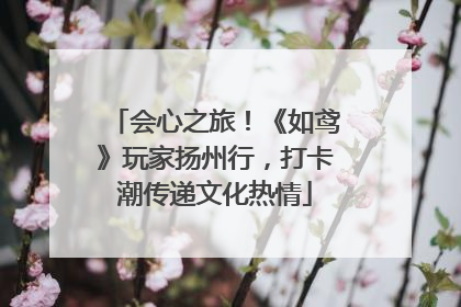 会心之旅！《如鸢》玩家扬州行，打卡潮传递文化热情