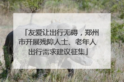 友爱让出行无碍，郑州市开展残障人士、老年人出行需求建议征集