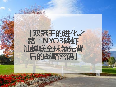 双冠王的进化之路：NYO3磷虾油蝉联全球领先背后的战略密码