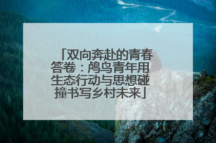 双向奔赴的青春答卷：鸬鸟青年用生态行动与思想碰撞书写乡村未来