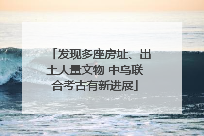 发现多座房址、出土大量文物 中乌联合考古有新进展