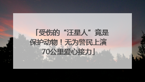 受伤的“汪星人”竟是保护动物！无为警民上演70公里爱心接力