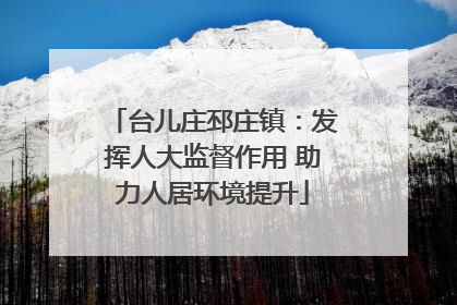 台儿庄邳庄镇：发挥人大监督作用 助力人居环境提升