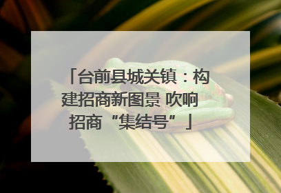 台前县城关镇：构建招商新图景 吹响招商“集结号”