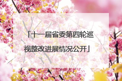 十一届省委第四轮巡视整改进展情况公开
