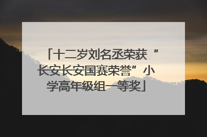 十二岁刘名丞荣获“长安长安国赛荣誉”小学高年级组一等奖