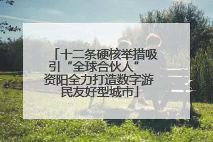 十二条硬核举措吸引“全球合伙人” 资阳全力打造数字游民友好型城市