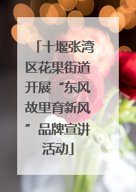 十堰张湾区花果街道开展“东风故里育新风”品牌宣讲活动