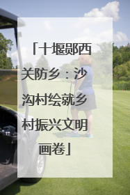 十堰郧西关防乡：沙沟村绘就乡村振兴文明画卷