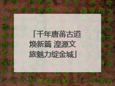 千年唐蕃古道焕新篇 湟源文旅魅力绽金城