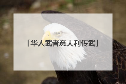 华人武者意大利传武