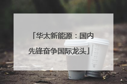华太新能源：国内先锋奋争国际龙头