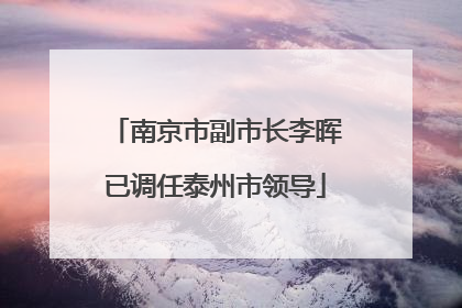 南京市副市长李晖已调任泰州市领导