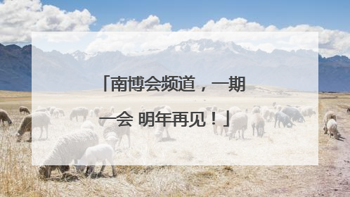 南博会频道，一期一会 明年再见！