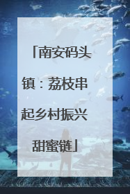 南安码头镇：荔枝串起乡村振兴甜蜜链