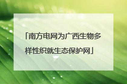南方电网为广西生物多样性织就生态保护网