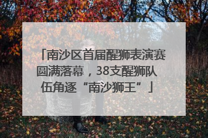 南沙区首届醒狮表演赛圆满落幕，38支醒狮队伍角逐“南沙狮王”