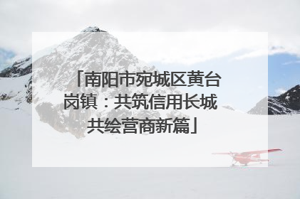 南阳市宛城区黄台岗镇：共筑信用长城 共绘营商新篇