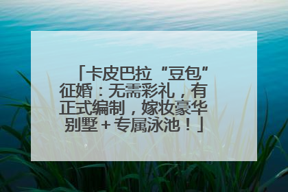 卡皮巴拉“豆包”征婚：无需彩礼，有正式编制，嫁妆豪华别墅＋专属泳池！