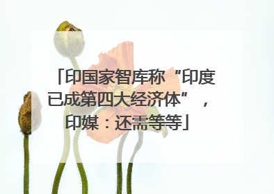 印国家智库称“印度已成第四大经济体”，印媒：还需等等