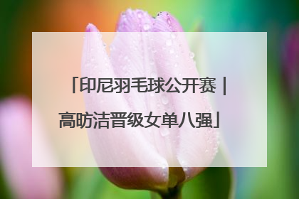 印尼羽毛球公开赛｜高昉洁晋级女单八强