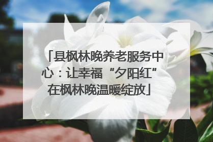 县枫林晚养老服务中心：让幸福“夕阳红”在枫林晚温暖绽放
