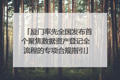 厦门率先全国发布首个聚焦数据资产登记全流程的专项合规指引
