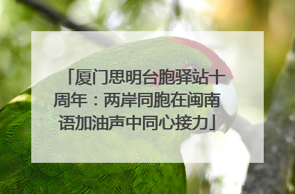 厦门思明台胞驿站十周年：两岸同胞在闽南语加油声中同心接力