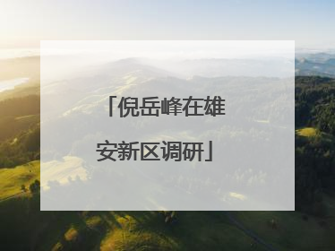 倪岳峰在雄安新区调研
