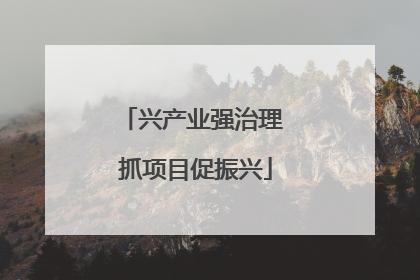 兴产业强治理 抓项目促振兴