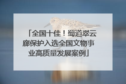 全国十佳！蜀道翠云廊保护入选全国文物事业高质量发展案例