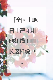 全国土地日丨严守耕地红线！田长这样说→