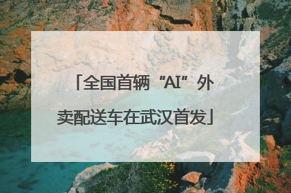 全国首辆“AI”外卖配送车在武汉首发