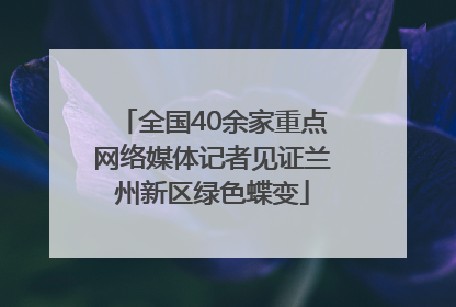 全国40余家重点网络媒体记者见证兰州新区绿色蝶变