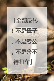 全部反转！不是母子，不是考公，不是舍不得打车