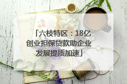 六枝特区：18亿创业担保贷款助企业发展提质加速