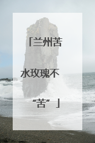兰州苦水玫瑰不“苦”