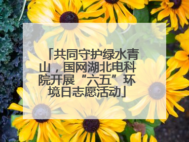 共同守护绿水青山，国网湖北电科院开展“六五”环境日志愿活动