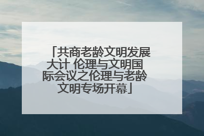 共商老龄文明发展大计 伦理与文明国际会议之伦理与老龄文明专场开幕