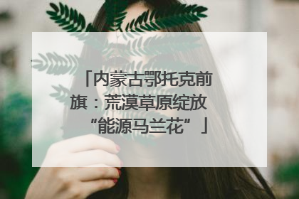 内蒙古鄂托克前旗：荒漠草原绽放“能源马兰花”