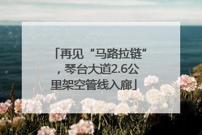 再见“马路拉链”，琴台大道2.6公里架空管线入廊