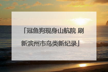 冠鱼狗现身山航院 刷新滨州市鸟类新纪录