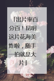 出片率百分百！昆明这片花海美炸啦，随手一拍就是大片