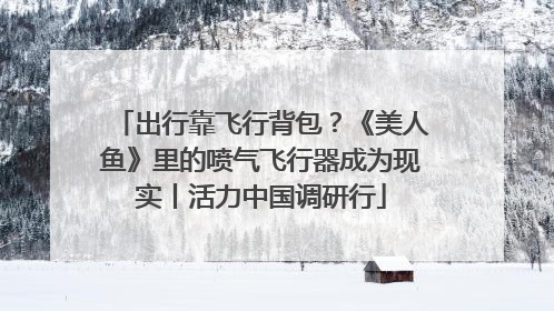 出行靠飞行背包？《美人鱼》里的喷气飞行器成为现实丨活力中国调研行