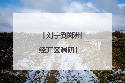 刘宁到郑州经开区调研
