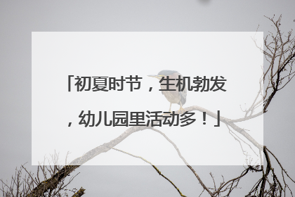初夏时节，生机勃发，幼儿园里活动多！