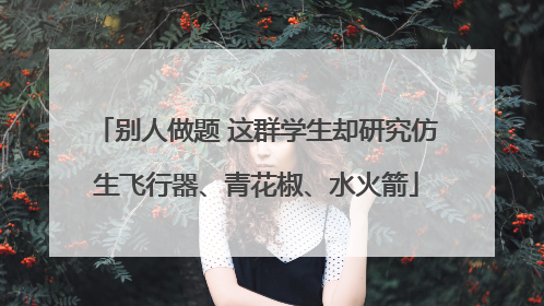 别人做题 这群学生却研究仿生飞行器、青花椒、水火箭