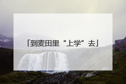 到麦田里“上学”去