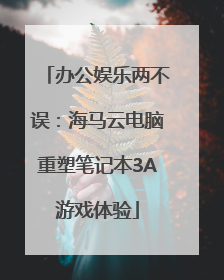 办公娱乐两不误：海马云电脑重塑笔记本3A游戏体验